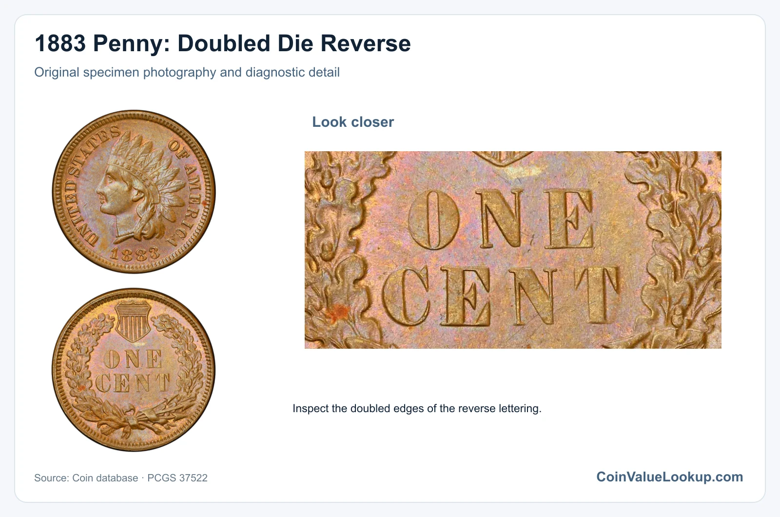 1883 Penny: Doubled Die Reverse with diagnostic detail