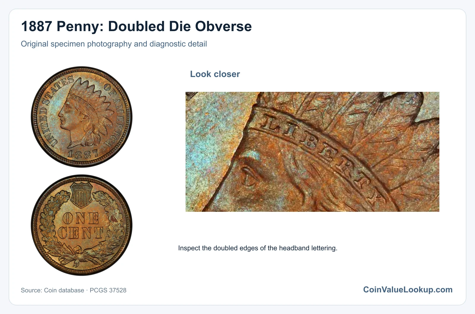 1887 Penny: Doubled Die Obverse with diagnostic detail