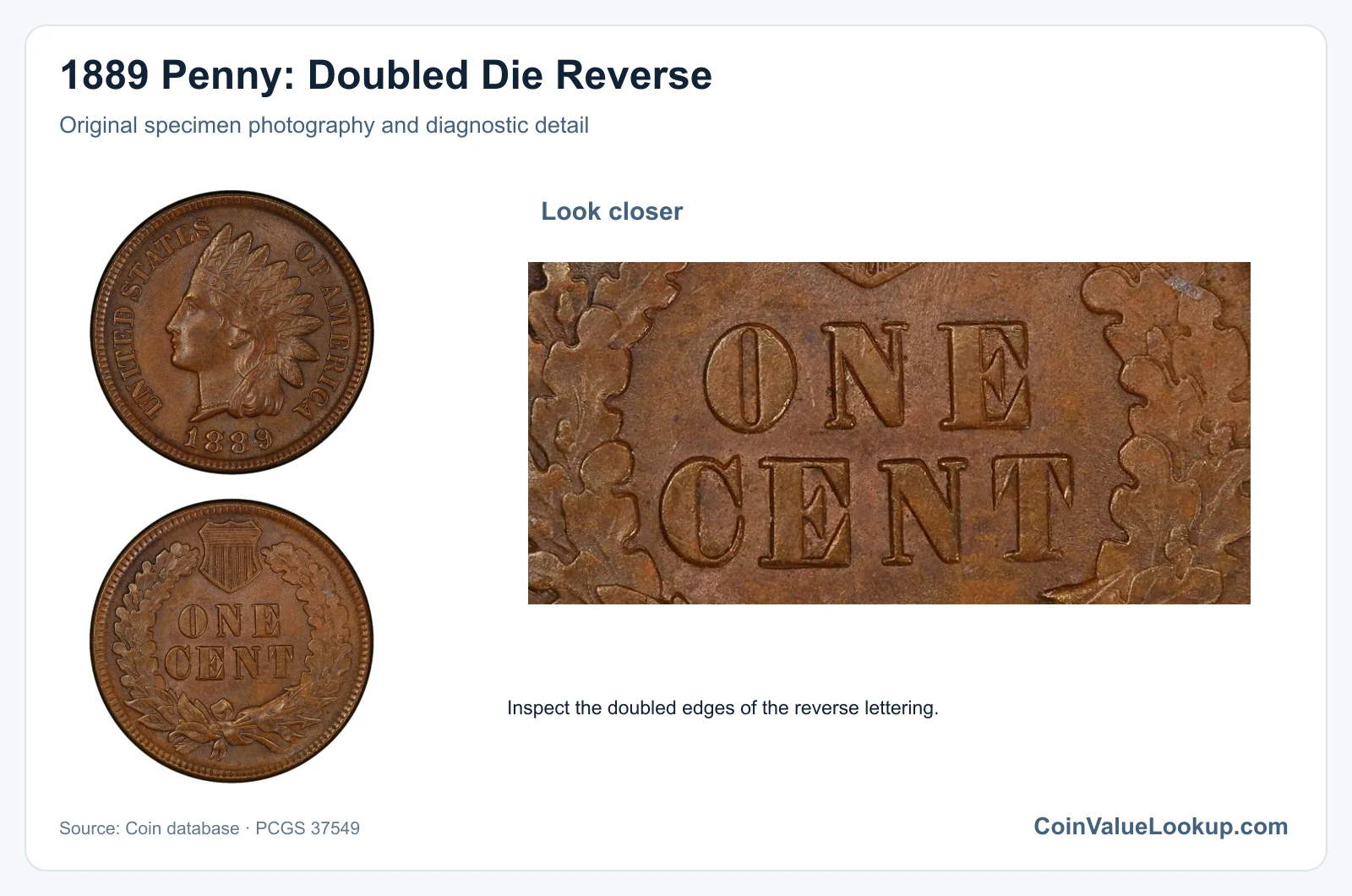 1889 Penny: Doubled Die Reverse with diagnostic detail