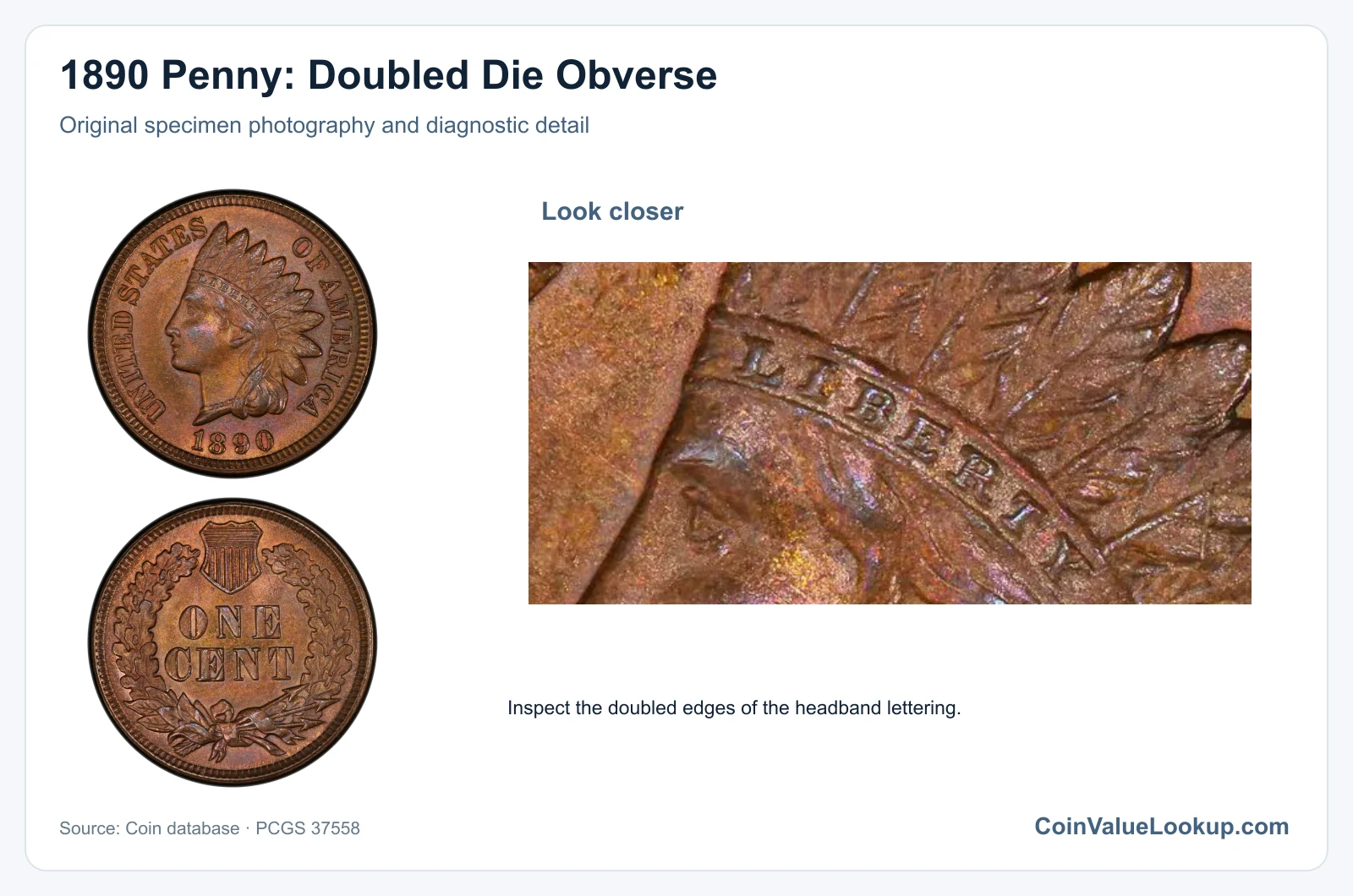 1890 Penny: Doubled Die Obverse with diagnostic detail