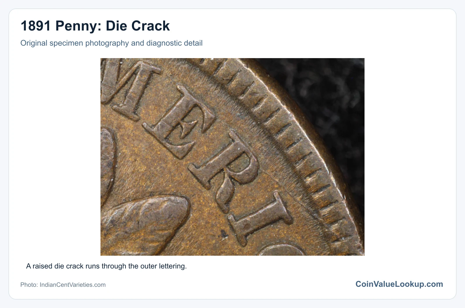 1891 Penny: Die Crack with diagnostic detail