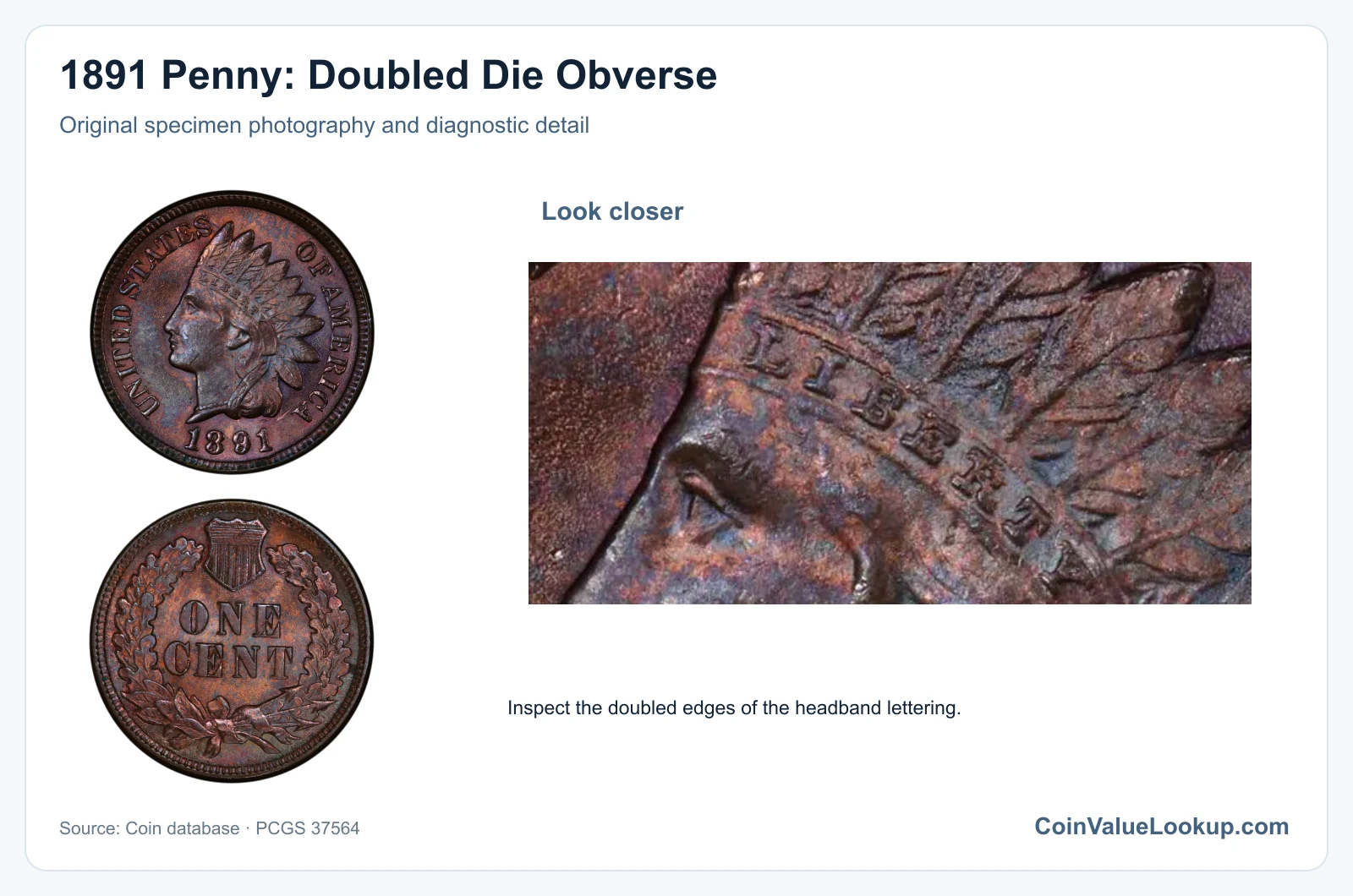 1891 Penny: Doubled Die Obverse with diagnostic detail