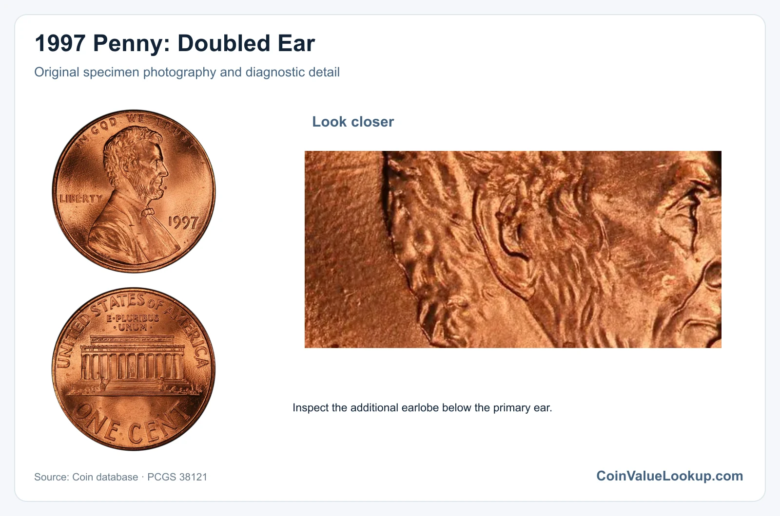 1997 Penny: Doubled Ear with diagnostic detail