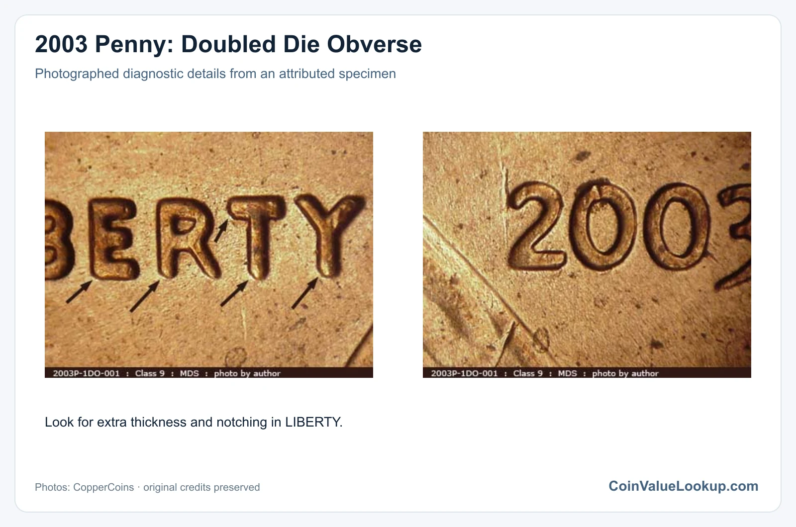 2003 Penny: Doubled Die Obverse with diagnostic detail