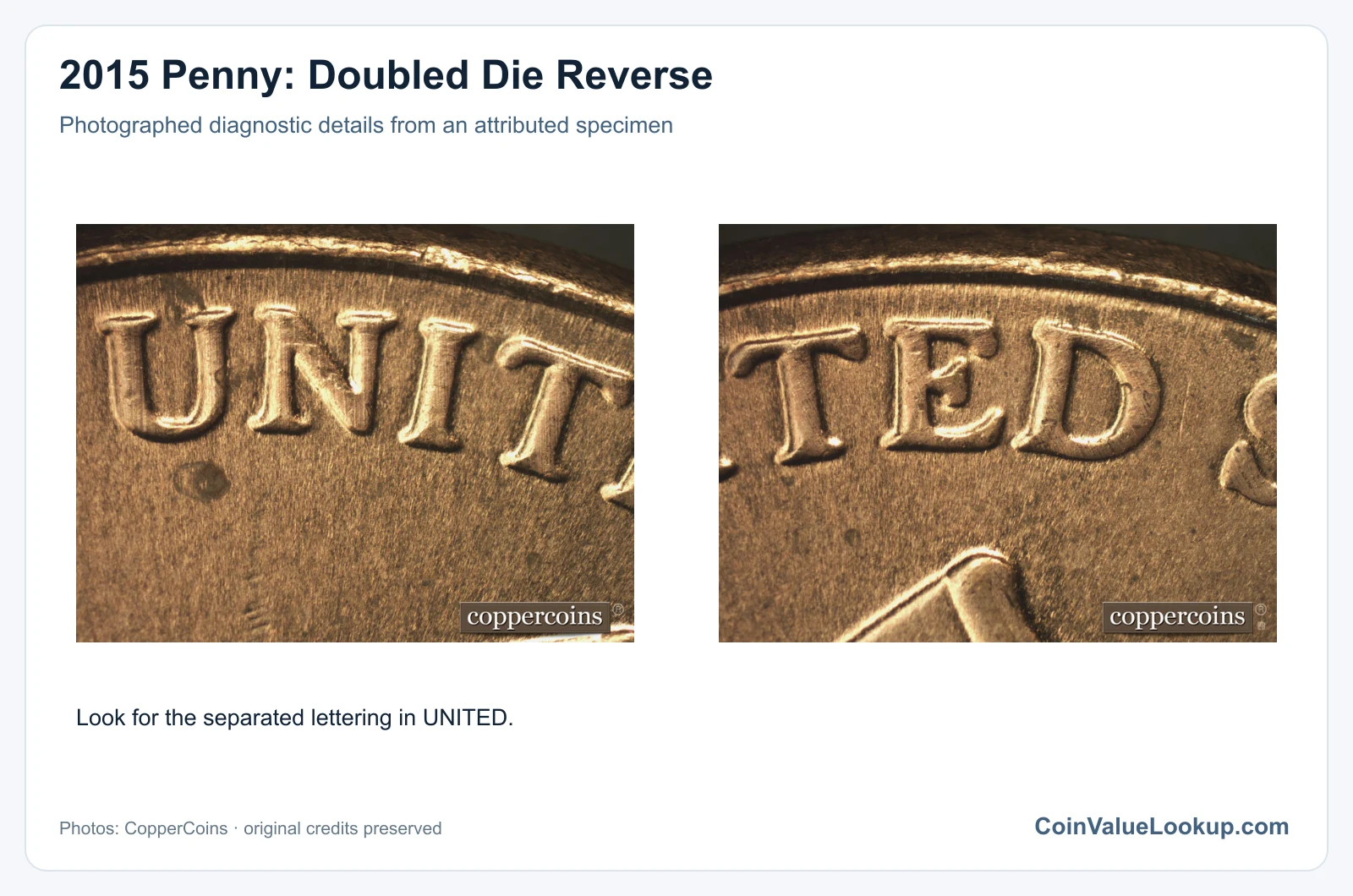 2015 Penny: Doubled Die Reverse with diagnostic detail
