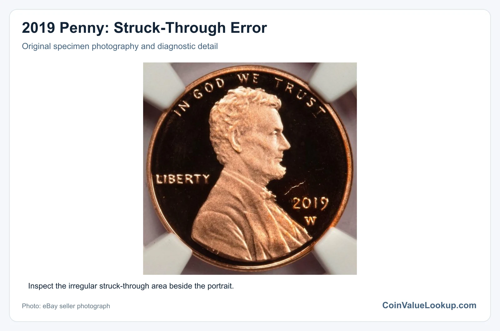 2019 Penny: Struck-Through Error with diagnostic detail