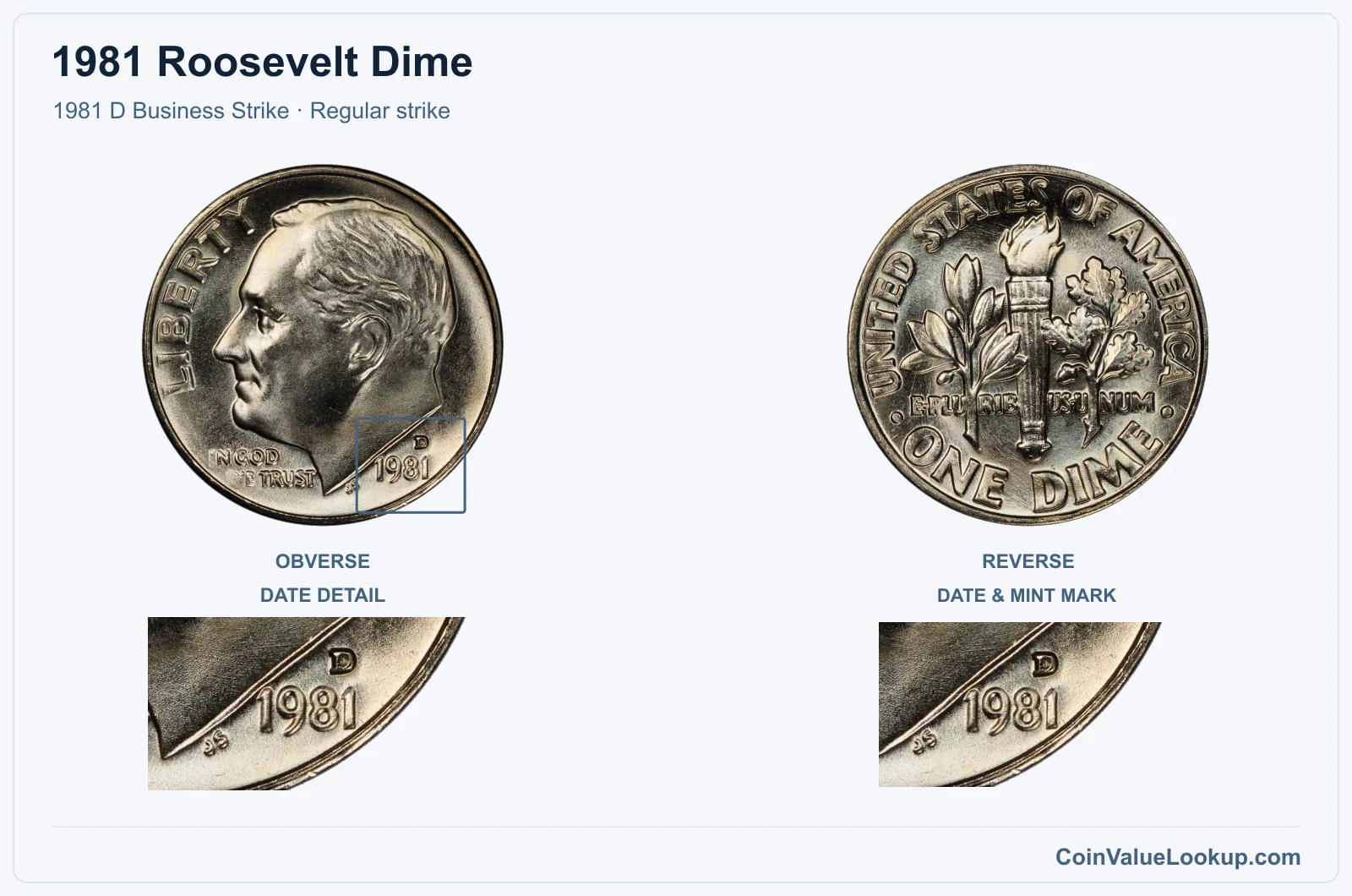 1981 Roosevelt Dime Coin — 1981 D Business Strike, obverse and reverse, with date and mint-location details