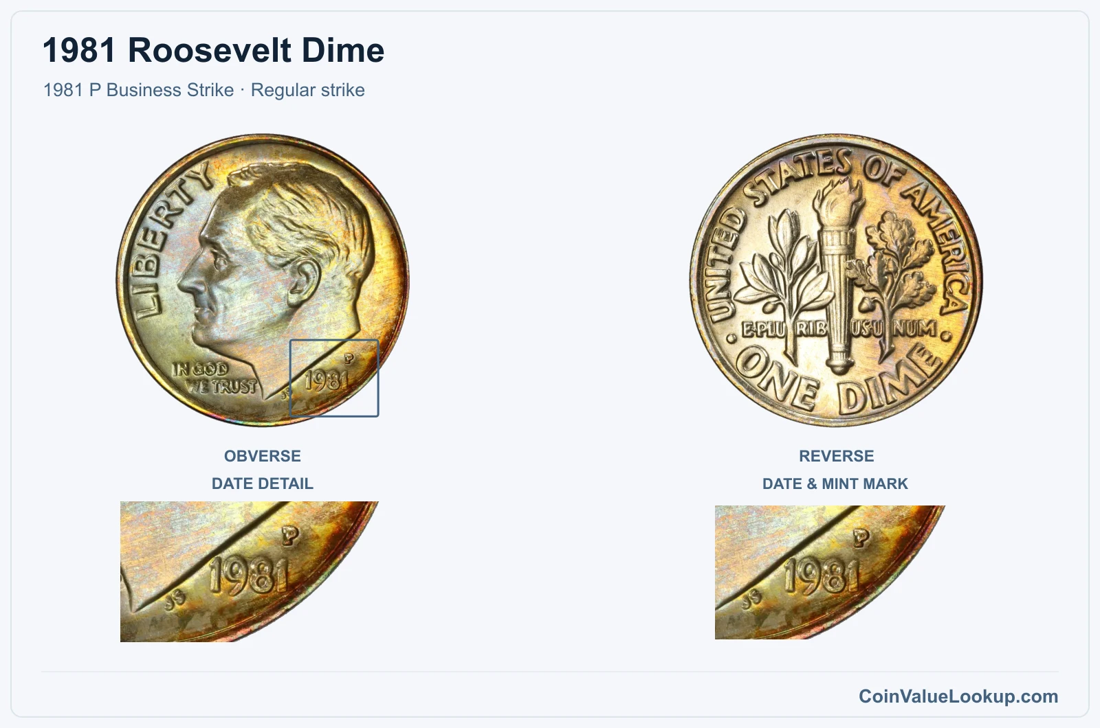 1981 Roosevelt Dime Coin — 1981 P Business Strike, obverse and reverse, with date and mint-location details