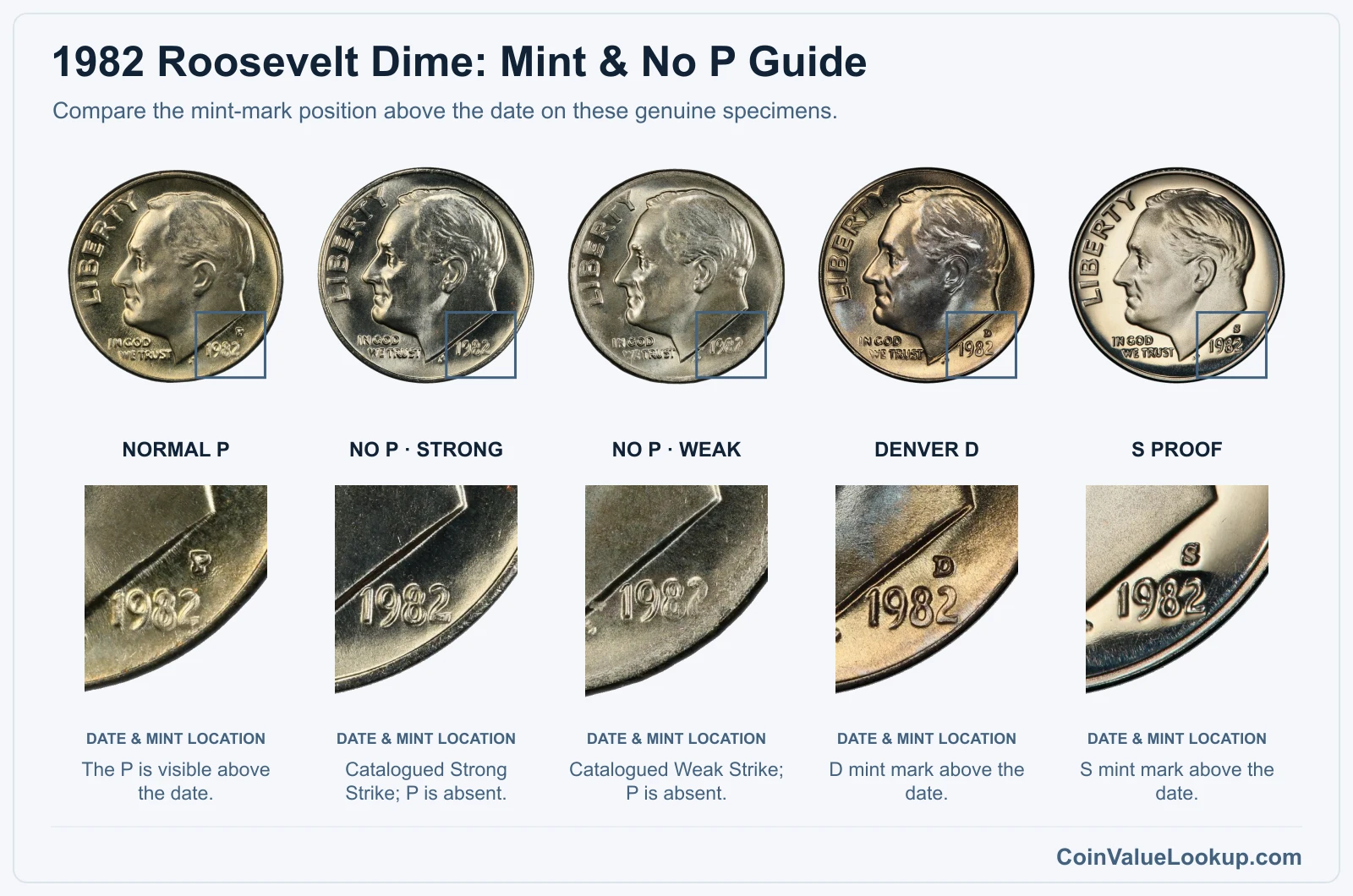 1982 Roosevelt Dime: Mint & No P Guide with genuine specimen detail enlargements