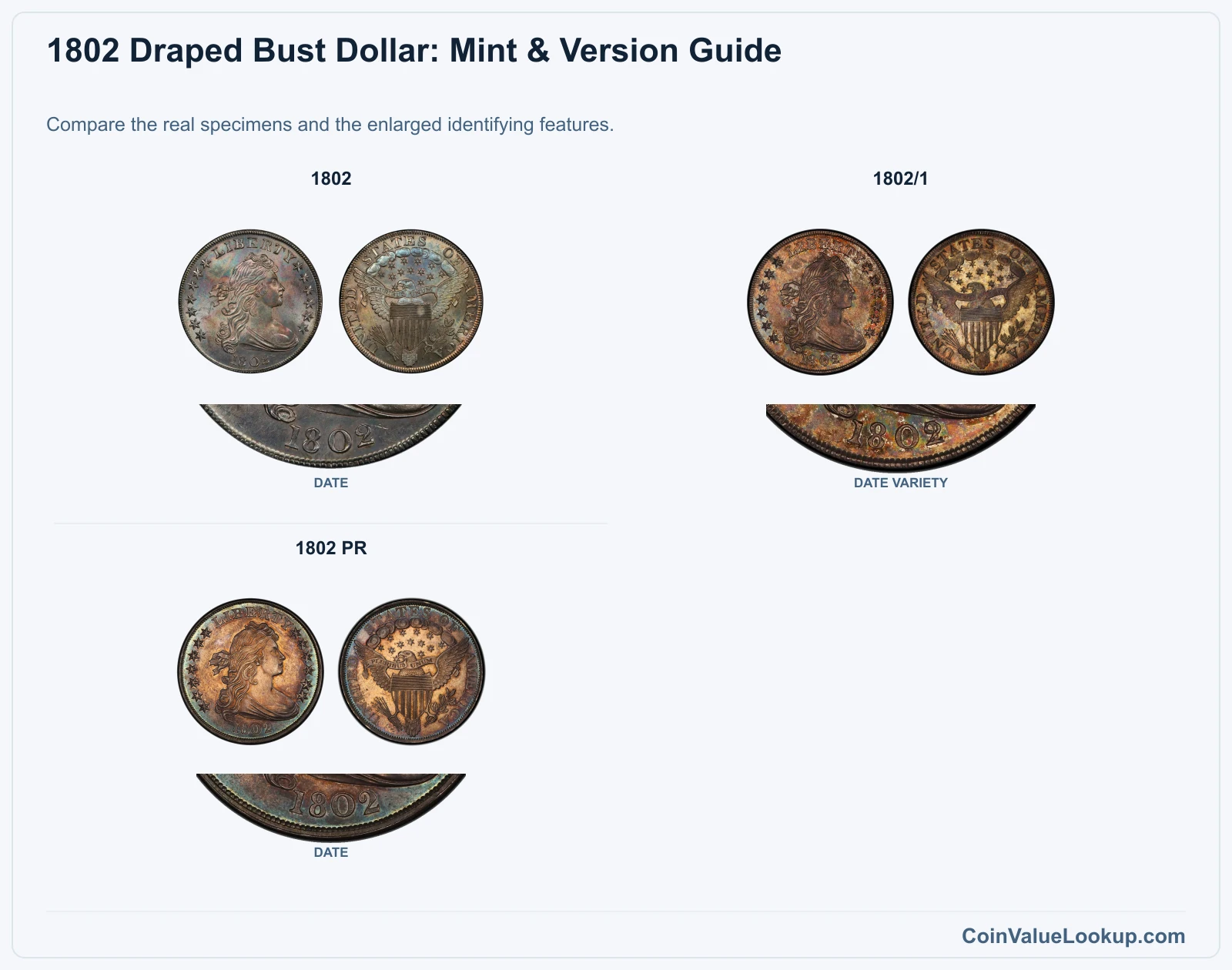 1802 Draped Bust Dollar Coin Value: How Much Is It Worth?