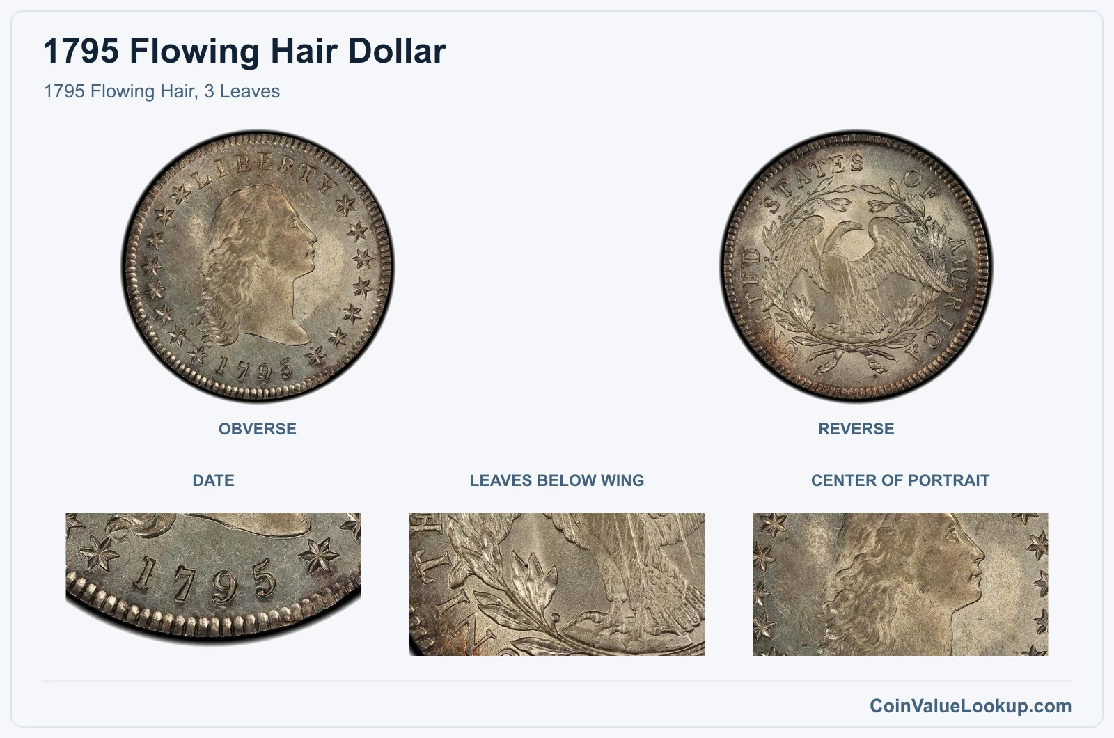 1795 Flowing Hair, 3 Leaves real specimen with date, leaves below wing, center of portrait closeups
