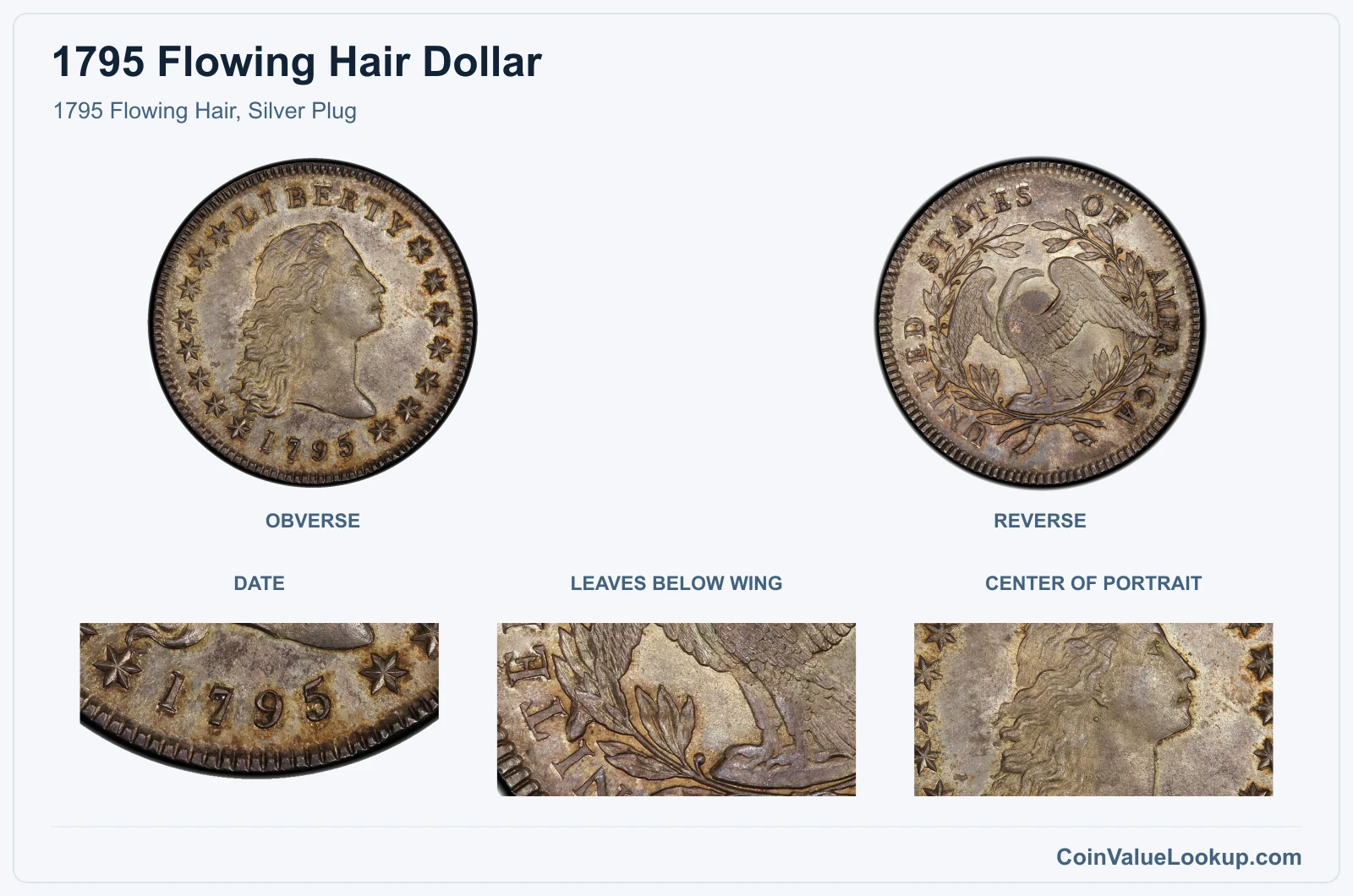 1795 Flowing Hair, Silver Plug real specimen with date, leaves below wing, center of portrait closeups