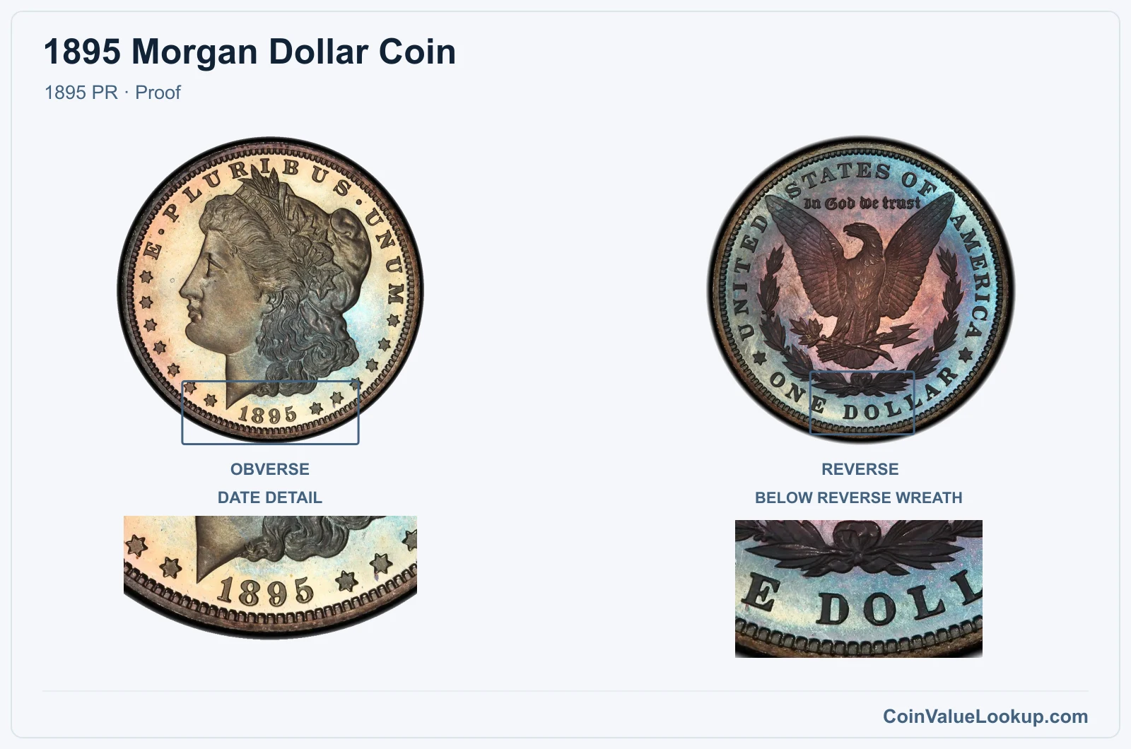 1895 Morgan Silver Dollar Coin — 1895 PR, obverse and reverse, with date and mint-location details