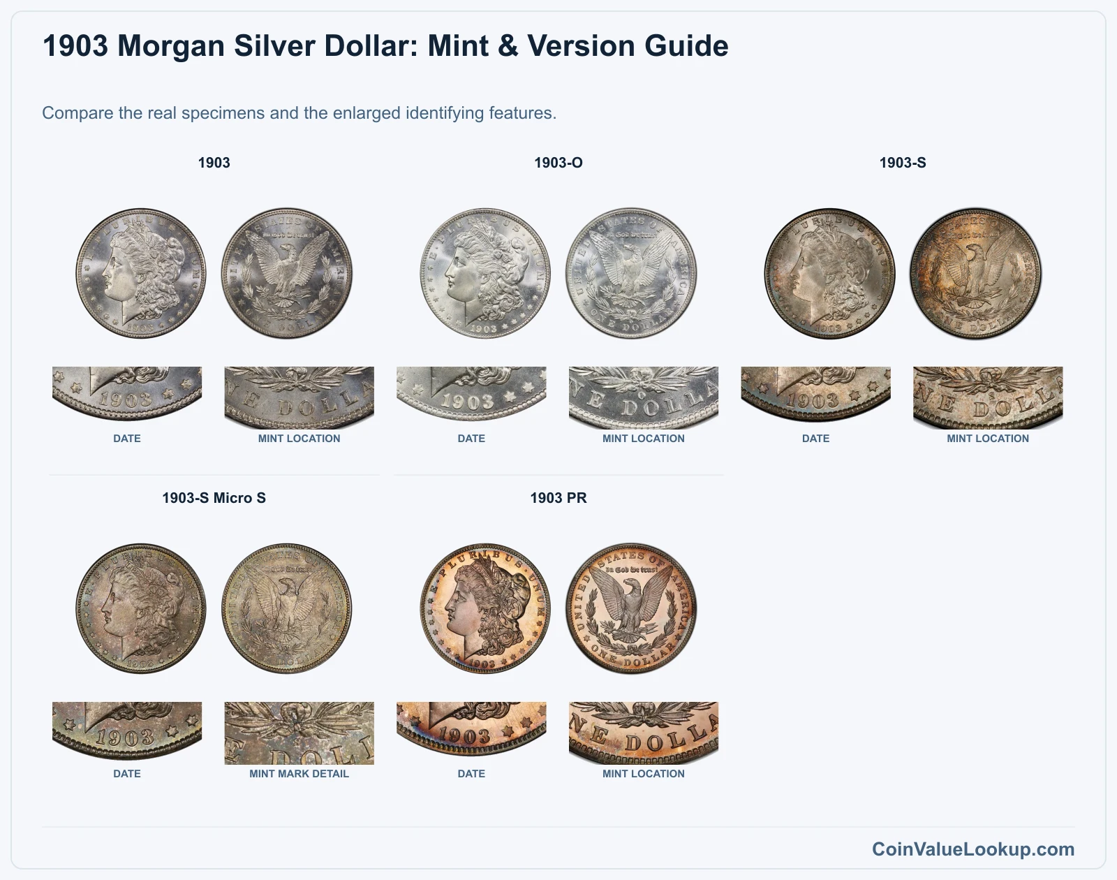 1903 Morgan Silver Dollar: Mint & Version Guide with all listed versions and genuine identifying details