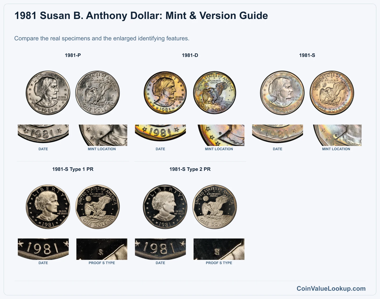 1981 Susan B. Anthony Dollar Coin Value: How Much Is It Worth?