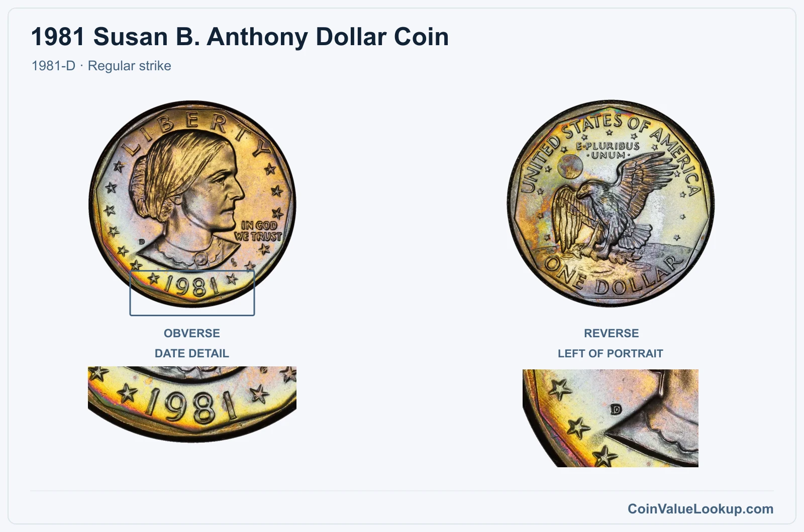 1981 Susan B. Anthony Dollar Coin — 1981-D, obverse and reverse, with date and mint-location details