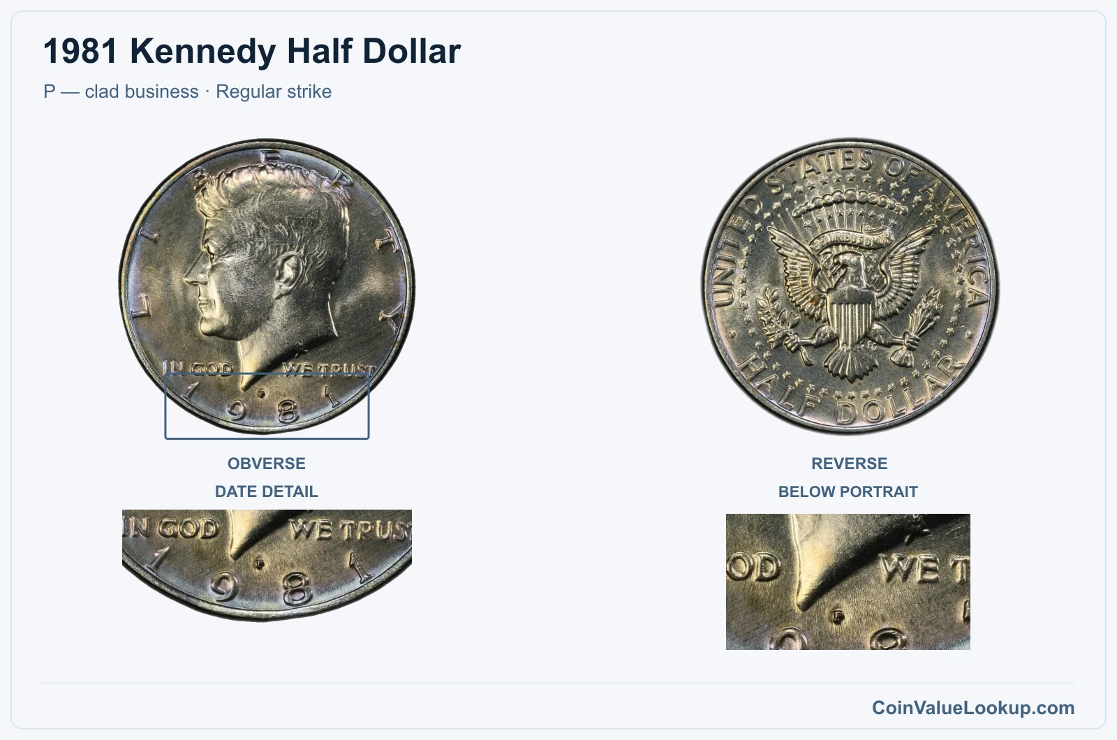 1981 Kennedy Half Dollar Coin — P — clad business, obverse and reverse, with date and mint-location details