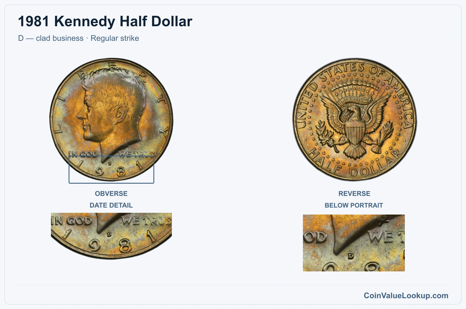 1981 Kennedy Half Dollar Coin — D — clad business, obverse and reverse, with date and mint-location details