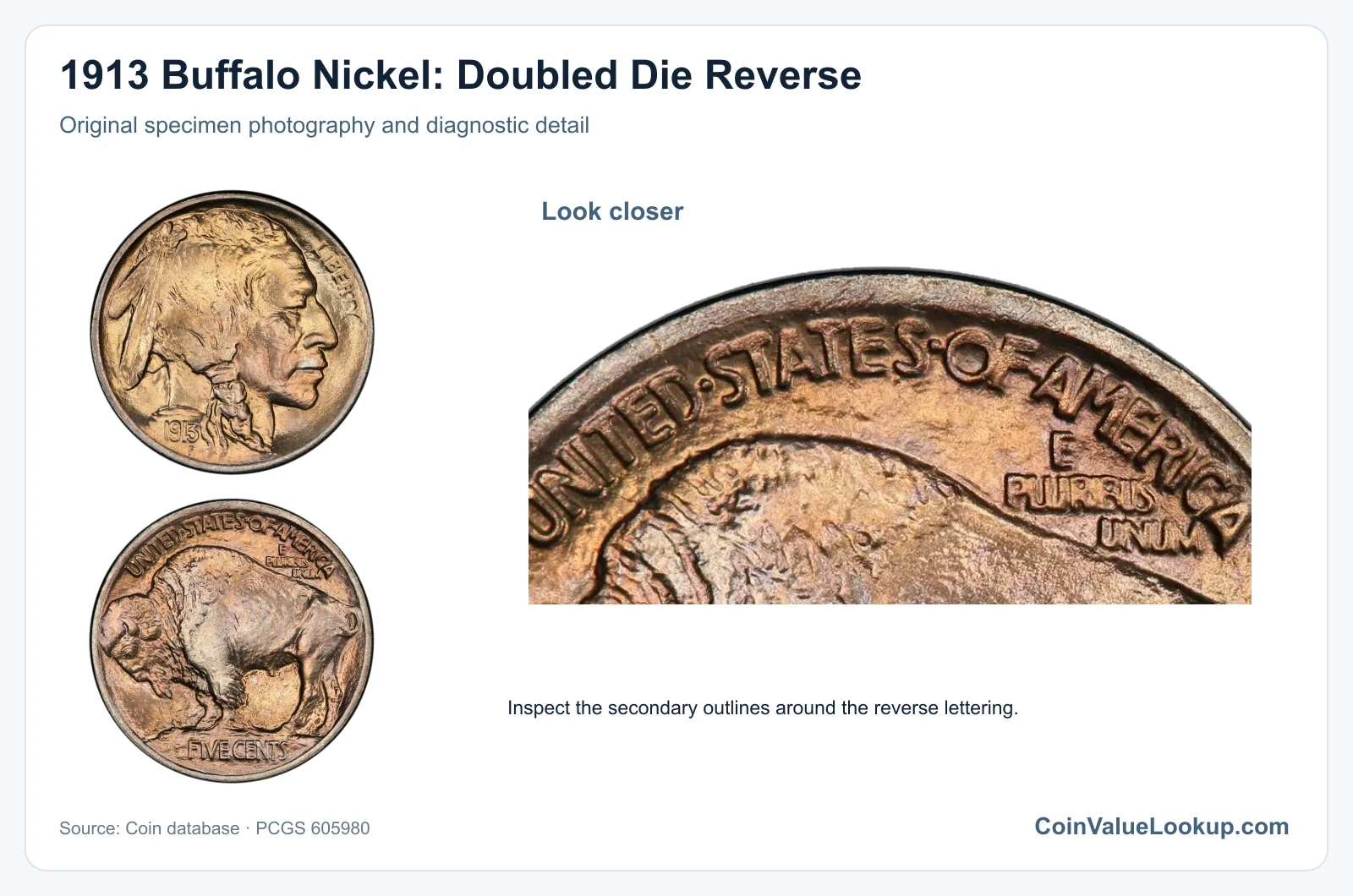 1913 Buffalo Nickel: Doubled Die Reverse with diagnostic detail
