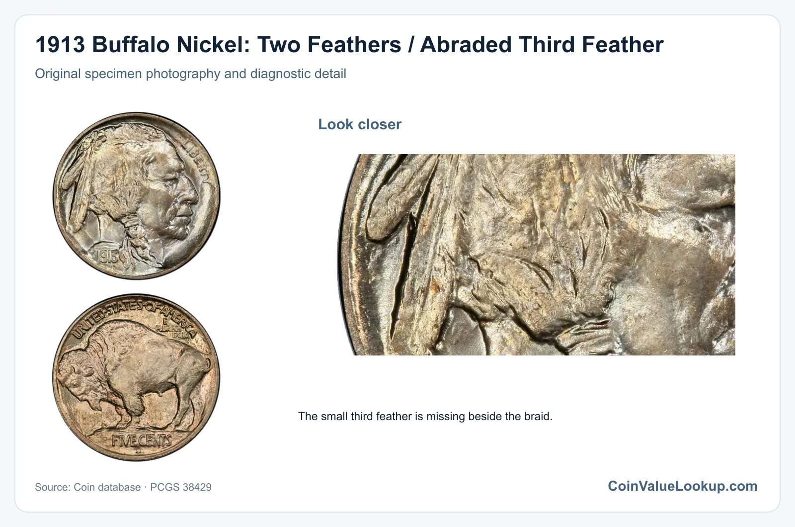 1913 Buffalo Nickel: Two Feathers / Abraded Third Feather with diagnostic detail