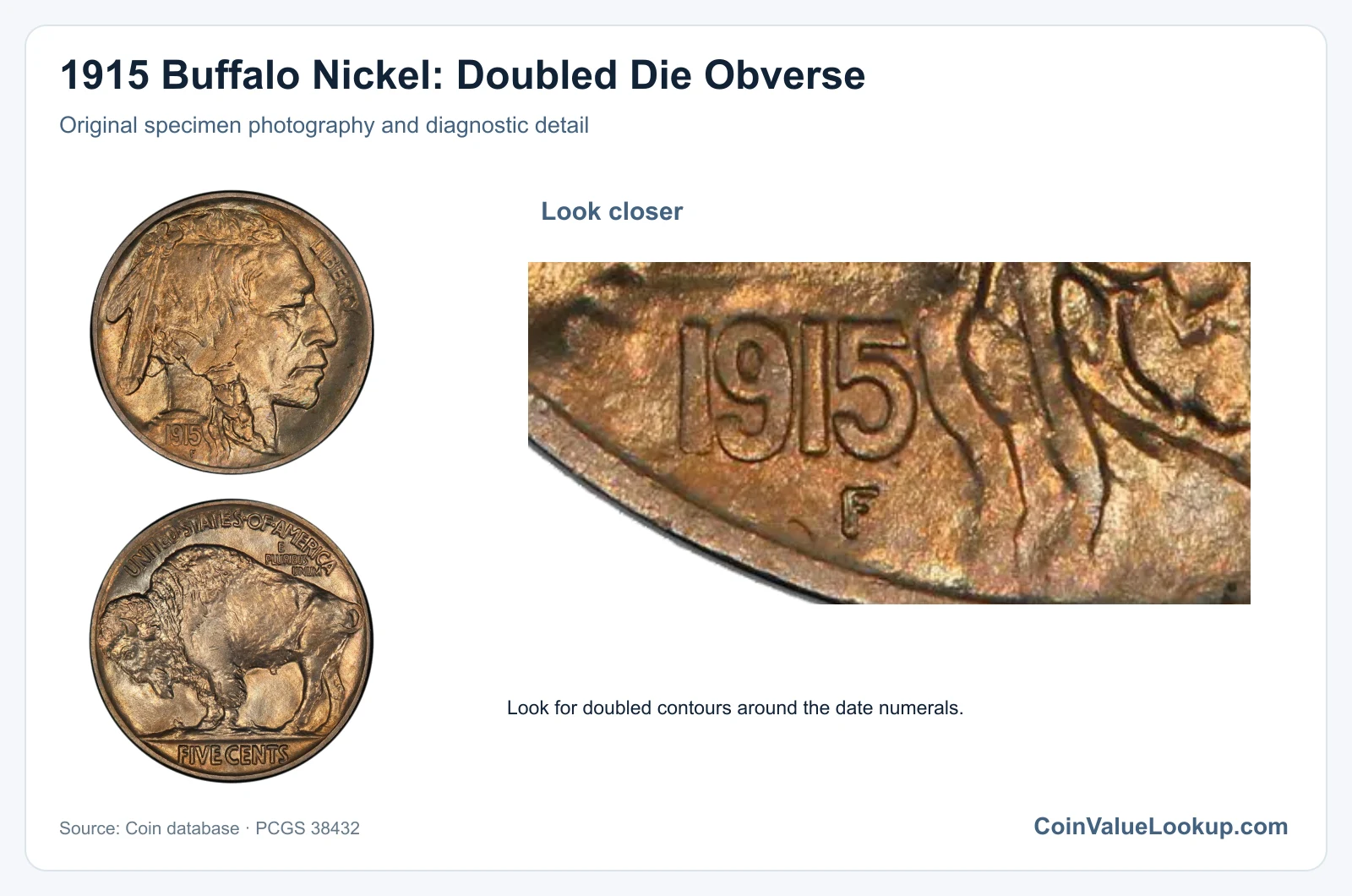1915 Buffalo Nickel: Doubled Die Obverse with diagnostic detail