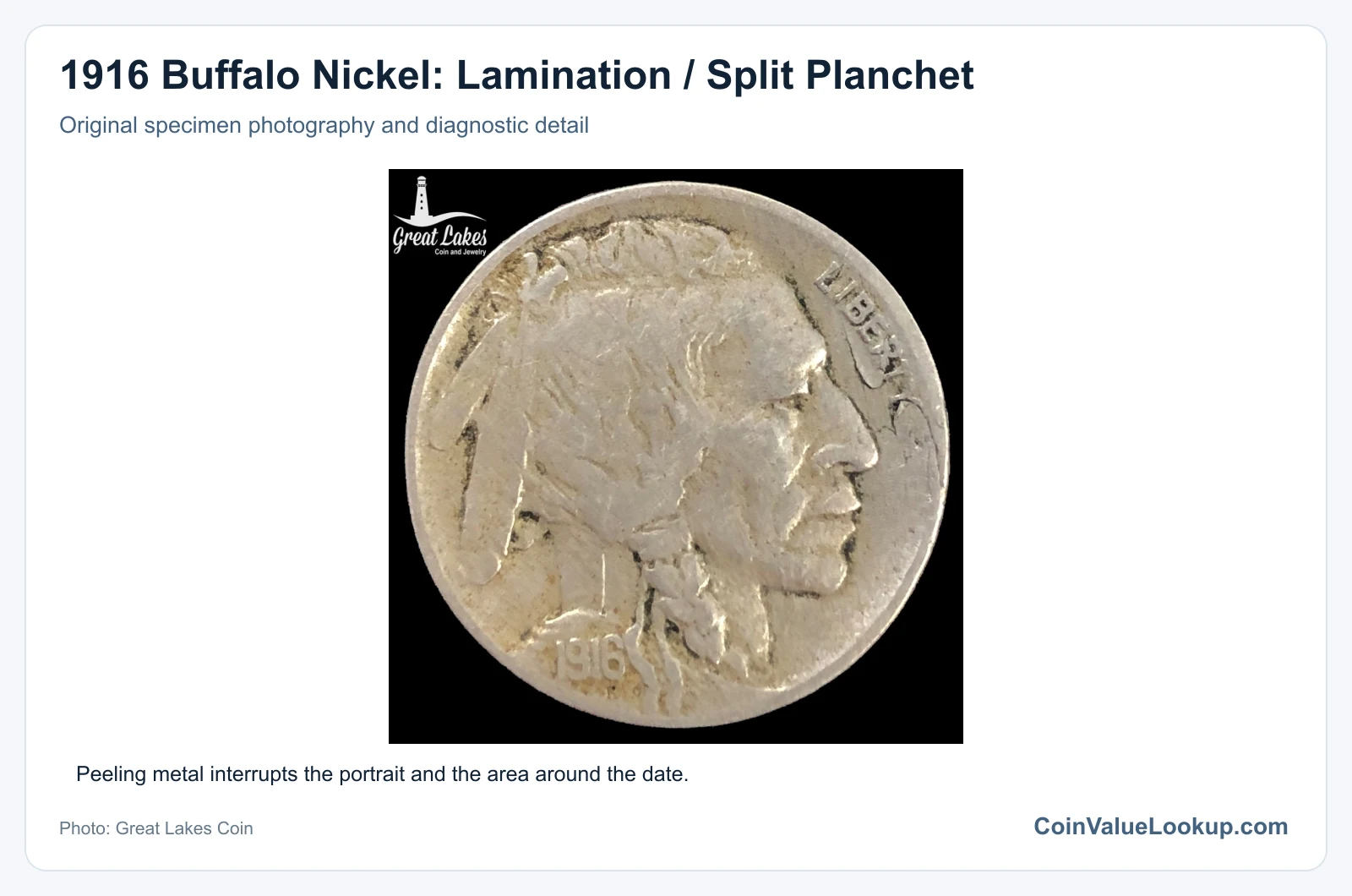 1916 Buffalo Nickel: Lamination / Split Planchet with diagnostic detail