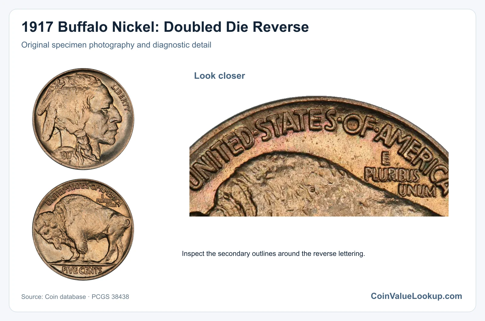 1917 Buffalo Nickel: Doubled Die Reverse with diagnostic detail