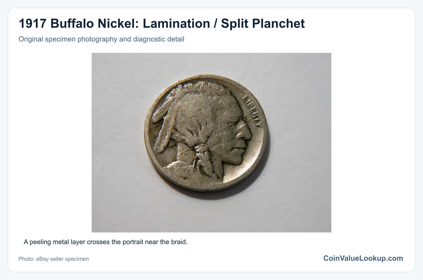 1917 Buffalo Nickel: Lamination / Split Planchet with diagnostic detail