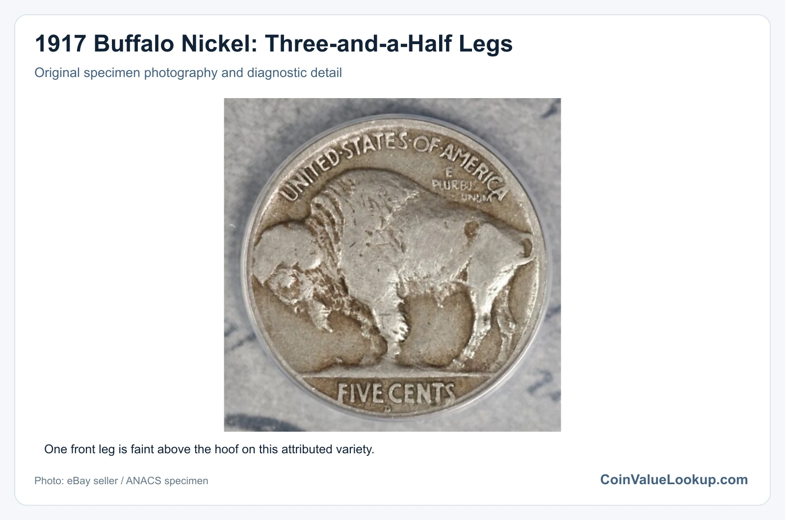1917 Buffalo Nickel: Three-and-a-Half Legs with diagnostic detail