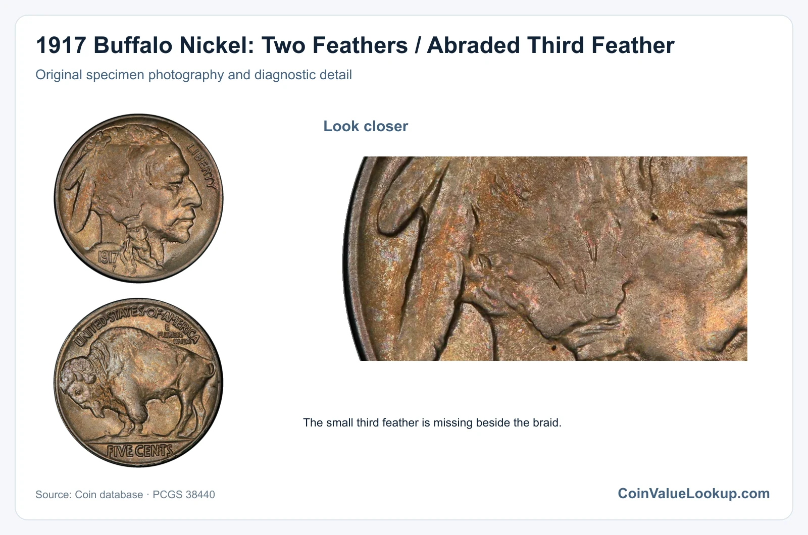 1917 Buffalo Nickel: Two Feathers / Abraded Third Feather with diagnostic detail