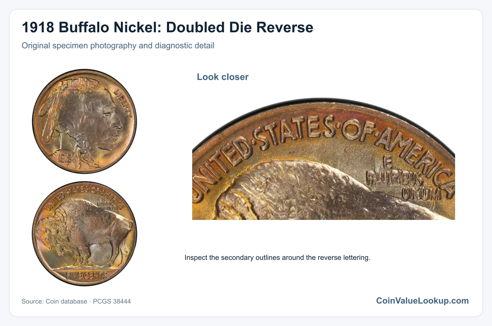 1918 Buffalo Nickel: Doubled Die Reverse with diagnostic detail