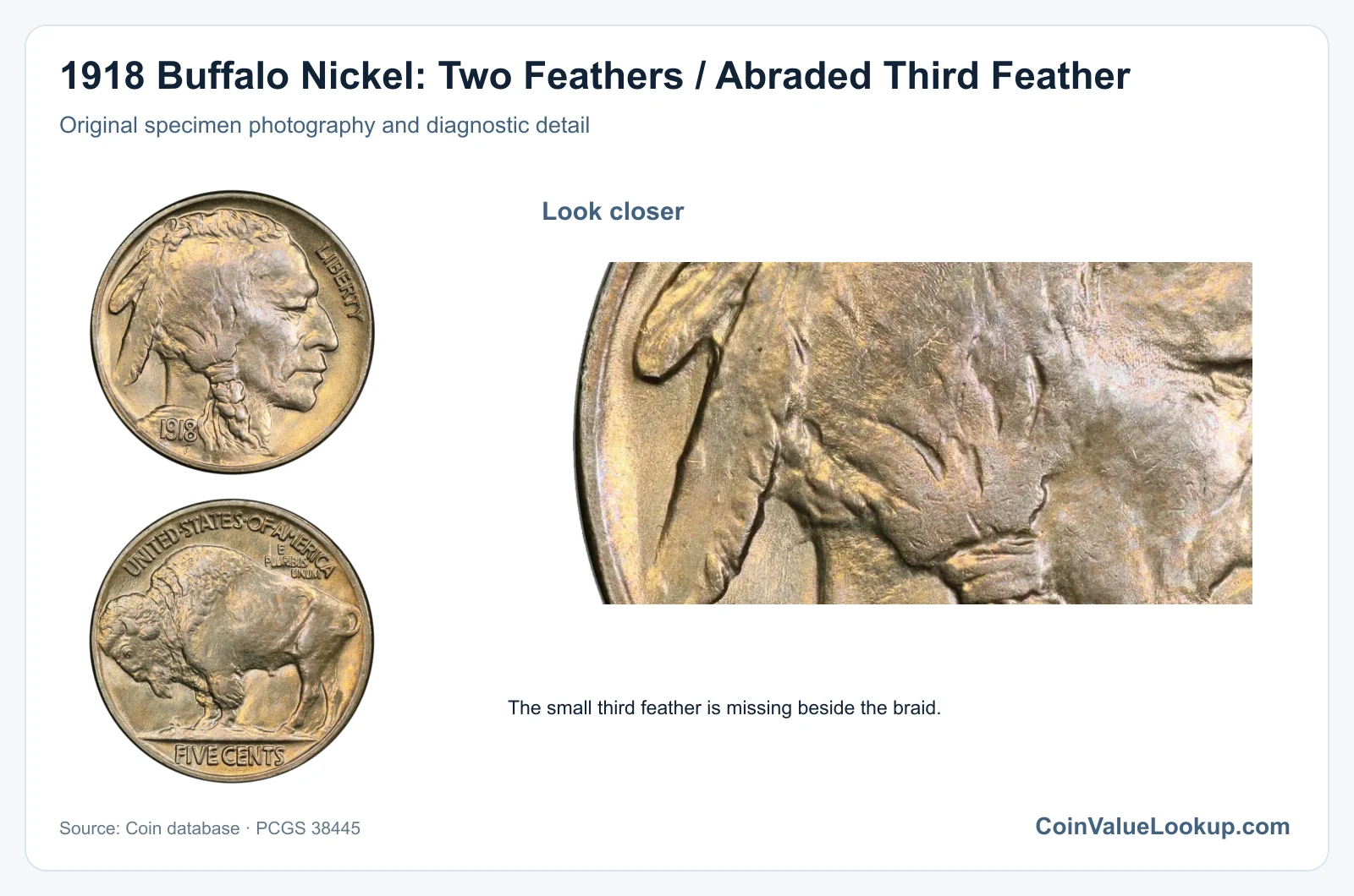 1918 Buffalo Nickel: Two Feathers / Abraded Third Feather with diagnostic detail