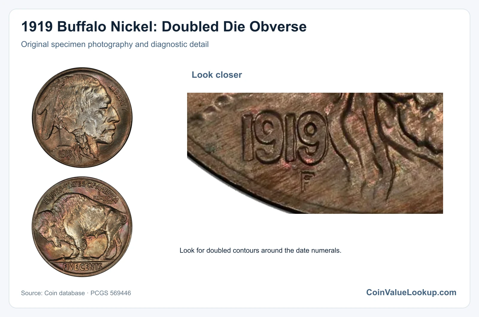 1919 Buffalo Nickel: Doubled Die Obverse with diagnostic detail