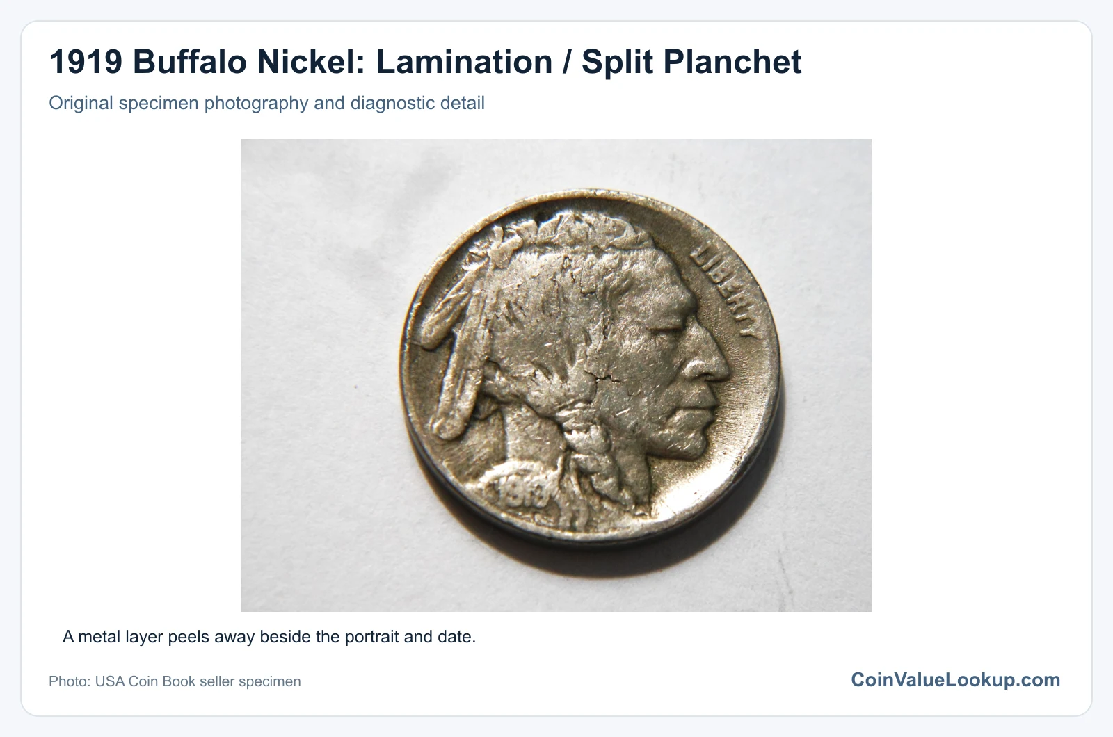 1919 Buffalo Nickel: Lamination / Split Planchet with diagnostic detail