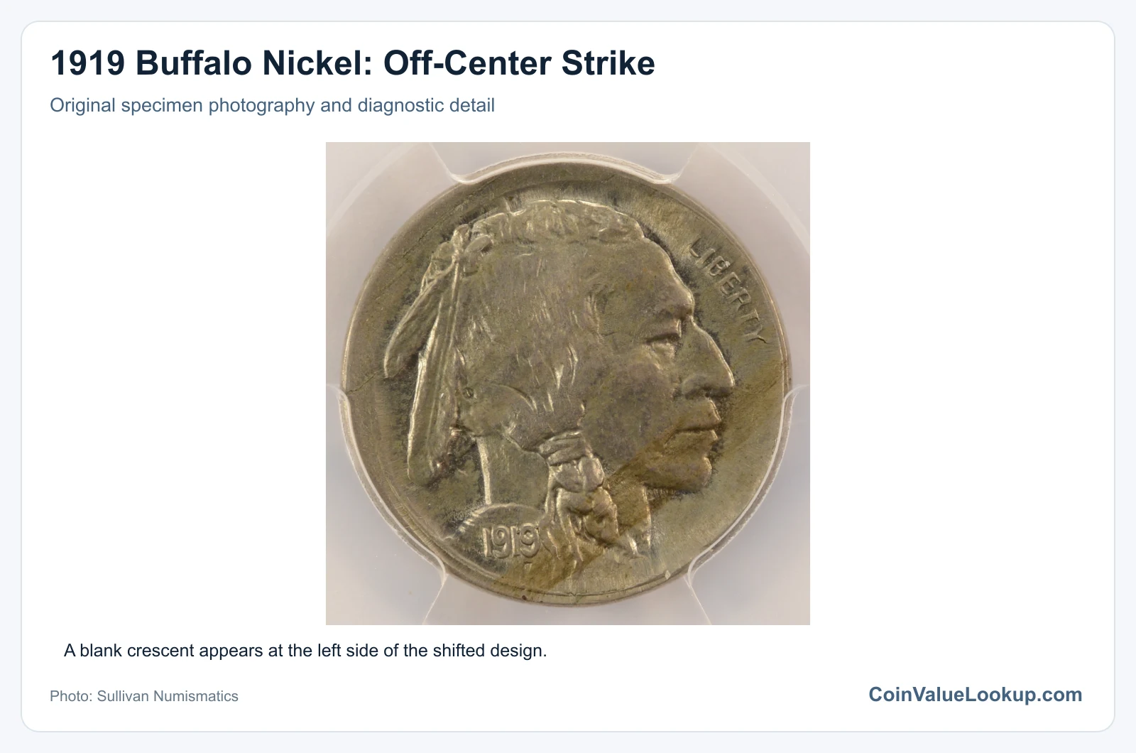 1919 Buffalo Nickel: Off-Center Strike with diagnostic detail