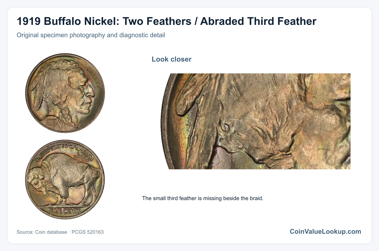 1919 Buffalo Nickel: Two Feathers / Abraded Third Feather with diagnostic detail