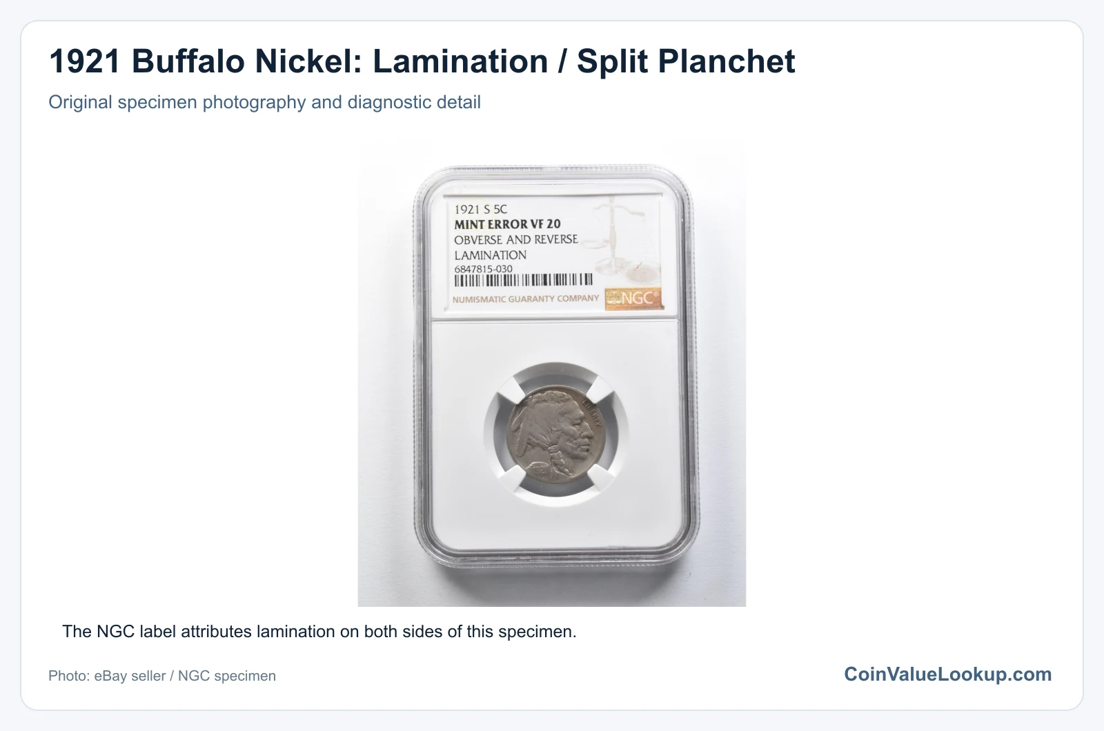 1921 Buffalo Nickel: Lamination / Split Planchet with diagnostic detail