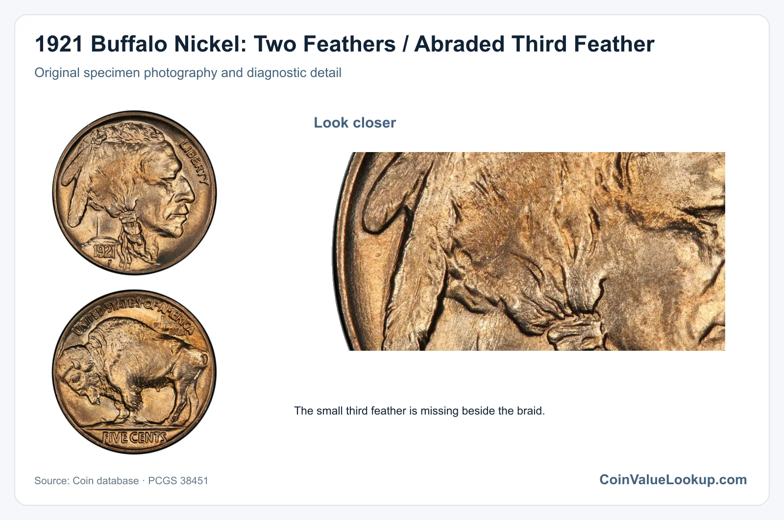 1921 Buffalo Nickel: Two Feathers / Abraded Third Feather with diagnostic detail