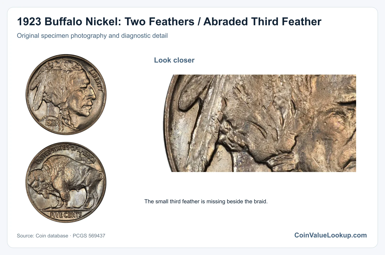 1923 Buffalo Nickel: Two Feathers / Abraded Third Feather with diagnostic detail