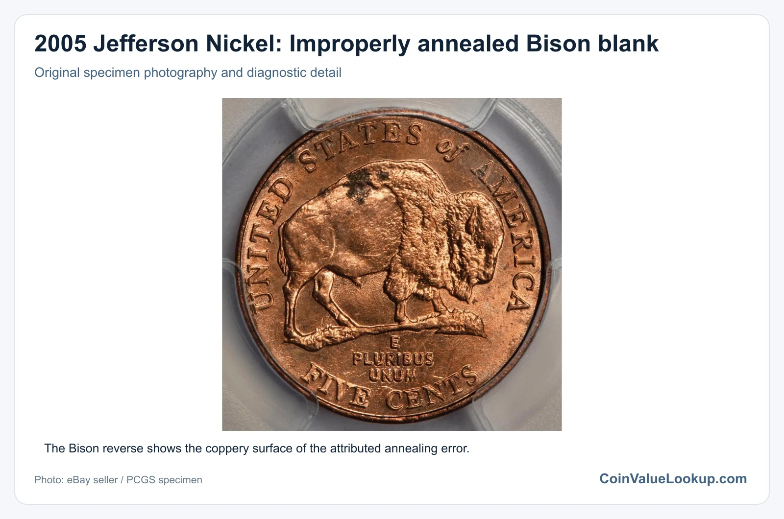 2005 Jefferson Nickel: Improperly annealed Bison blank with diagnostic detail