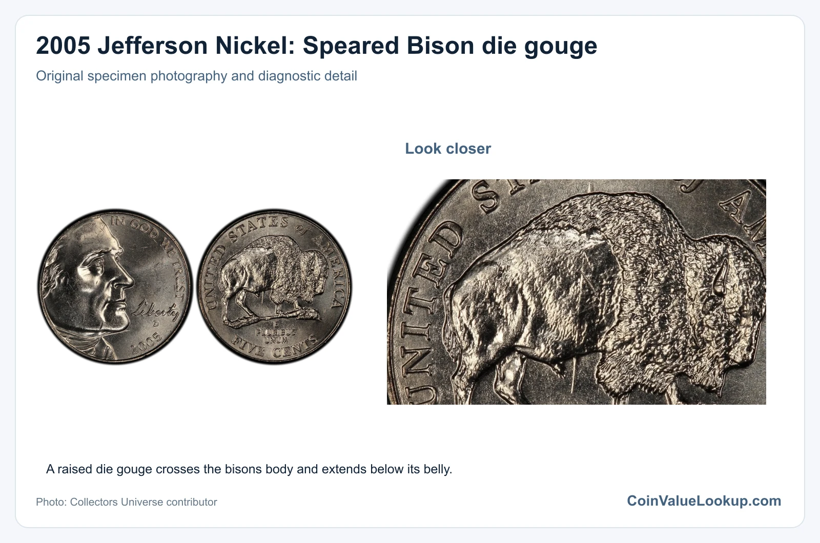 2005 Jefferson Nickel: Speared Bison die gouge with diagnostic detail