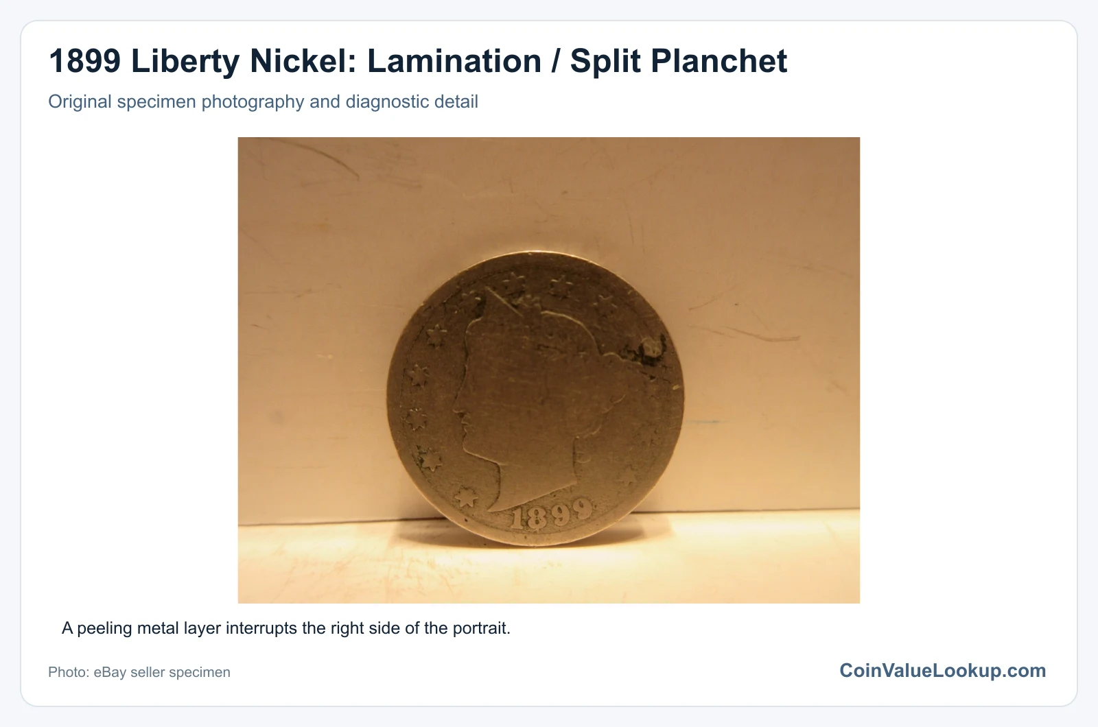 1899 Liberty Nickel: Lamination / Split Planchet with diagnostic detail