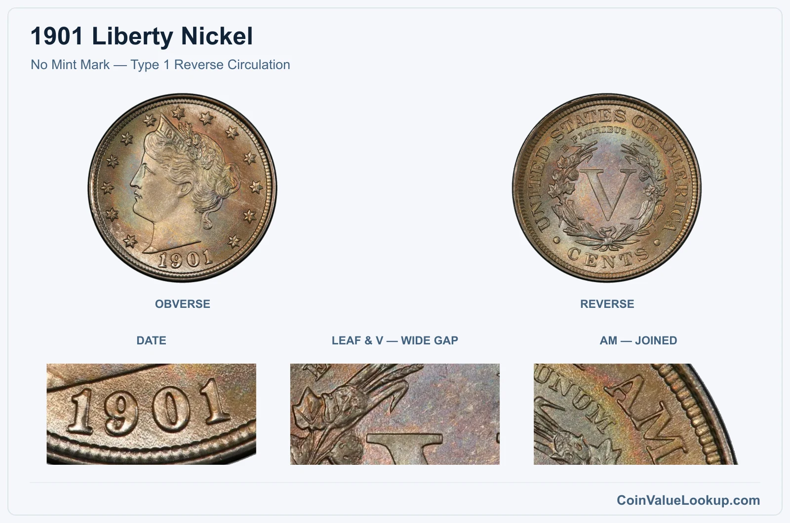 No Mint Mark — Type 1 Reverse Circulation real specimen with date, leaf & v — wide gap, am — joined closeups
