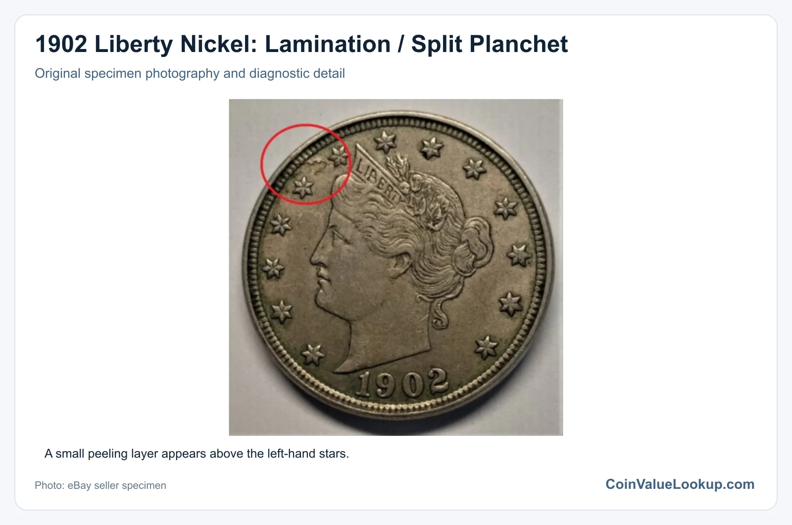 1902 Liberty Nickel: Lamination / Split Planchet with diagnostic detail