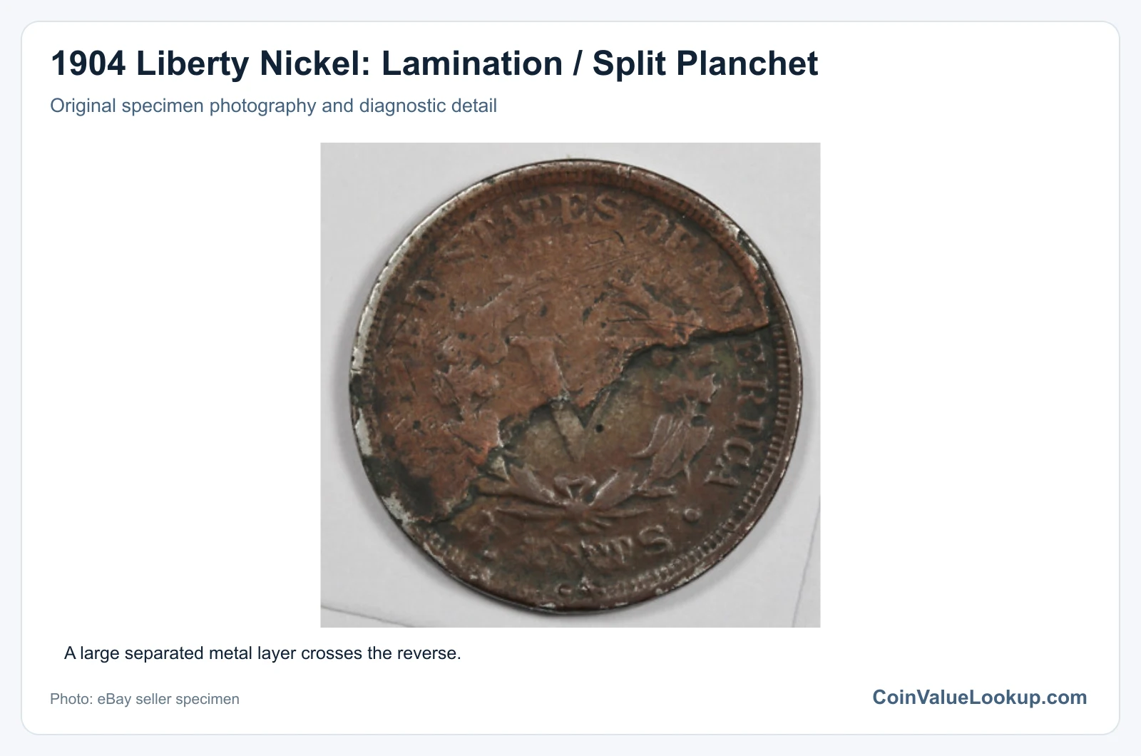 1904 Liberty Nickel: Lamination / Split Planchet with diagnostic detail