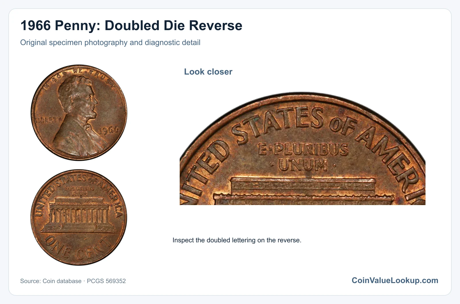 1966 Penny: Doubled Die Reverse with diagnostic detail