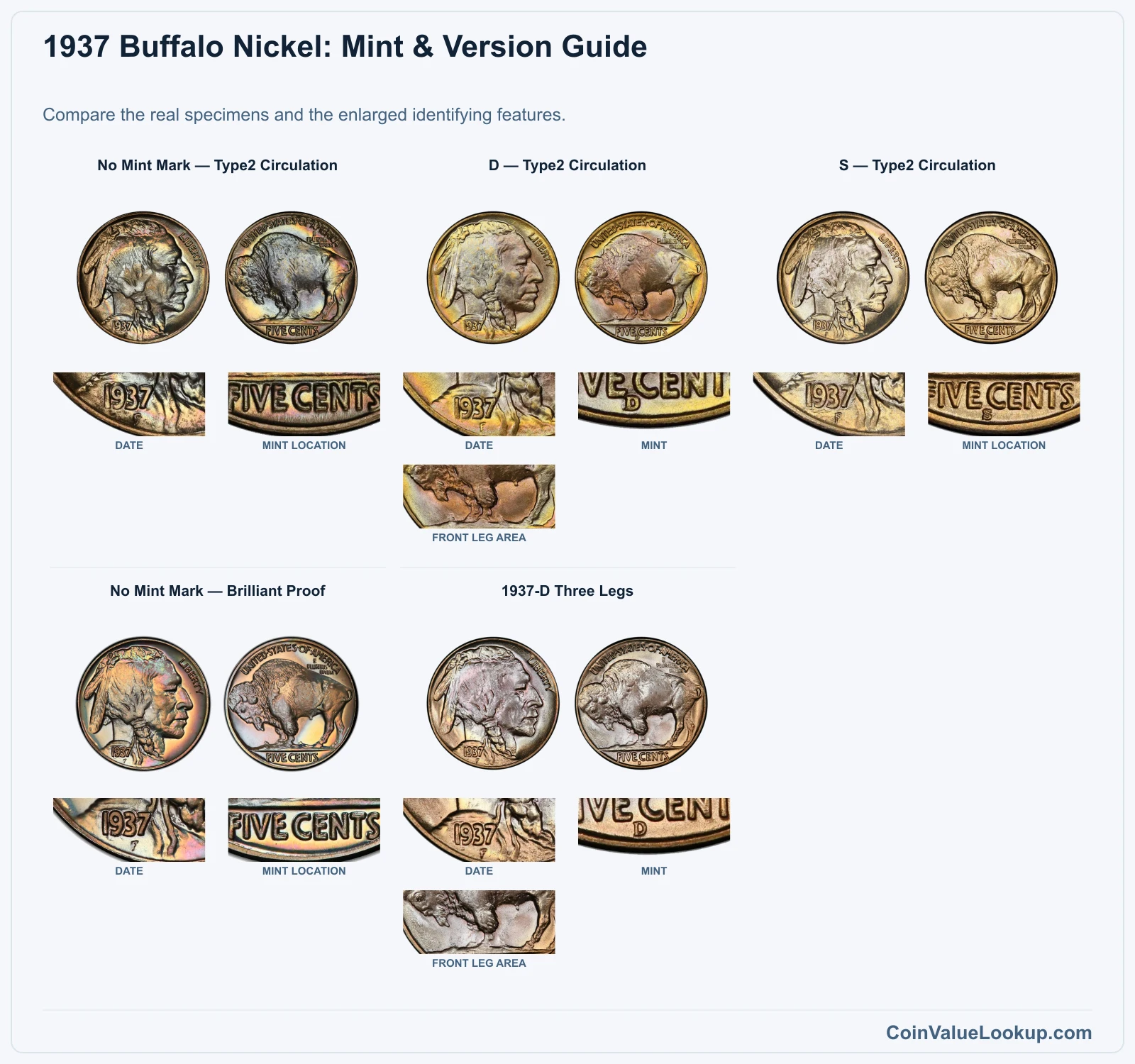 1937 Buffalo Nickel: Mint & Version Guide with all listed versions and genuine identifying details