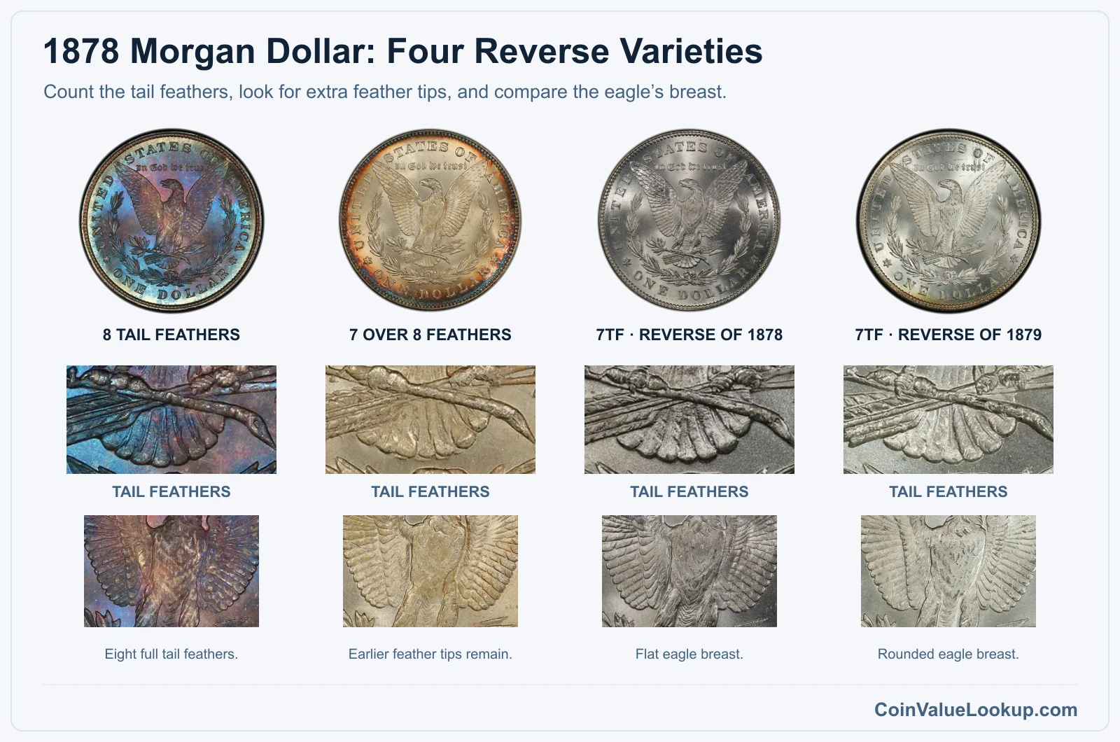 1878 Morgan Dollar design and mint comparison with genuine specimen closeups