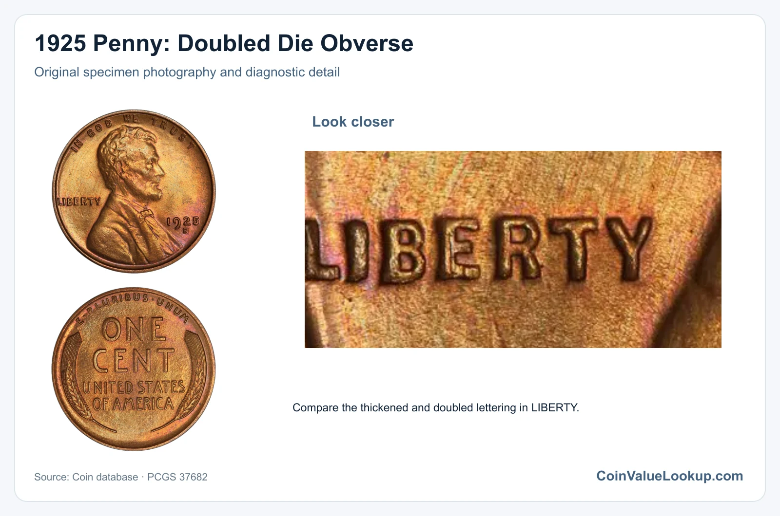 1925 Penny: Doubled Die Obverse with diagnostic detail