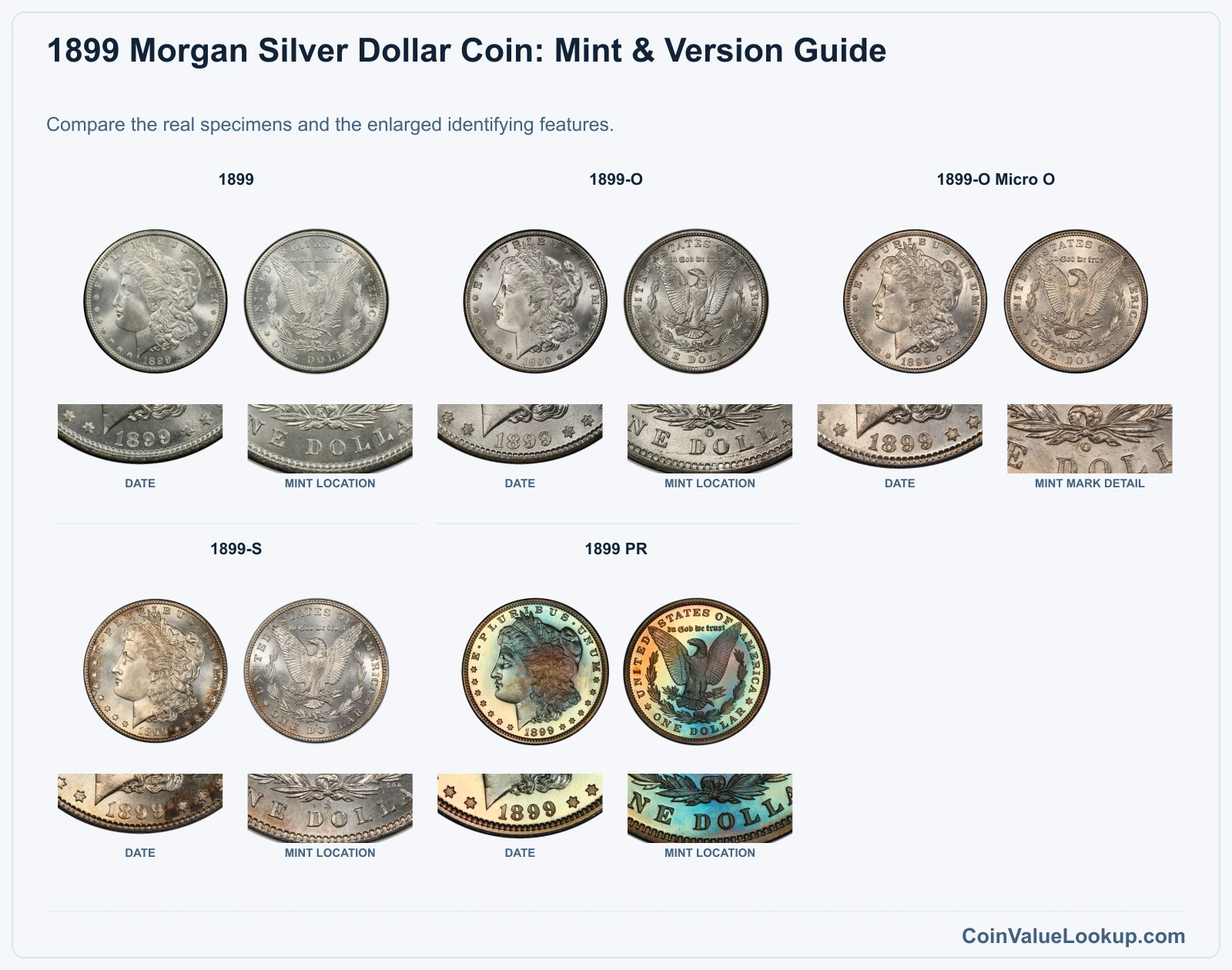 1899 Morgan Silver Dollar Coin Value: How Much Is It Worth?